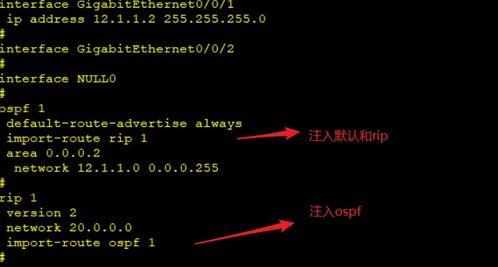 OSPF進階篇 深入探索高級網(wǎng)絡技術